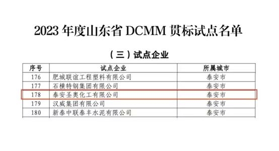 泰安圣奥成功入选山东省DCMM贯标试点企业名...