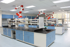 江苏圣奥崛起中国，全力出击全球市场 