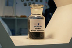 江苏圣奥参加第四届亚洲埃森轮胎展会暨第十...