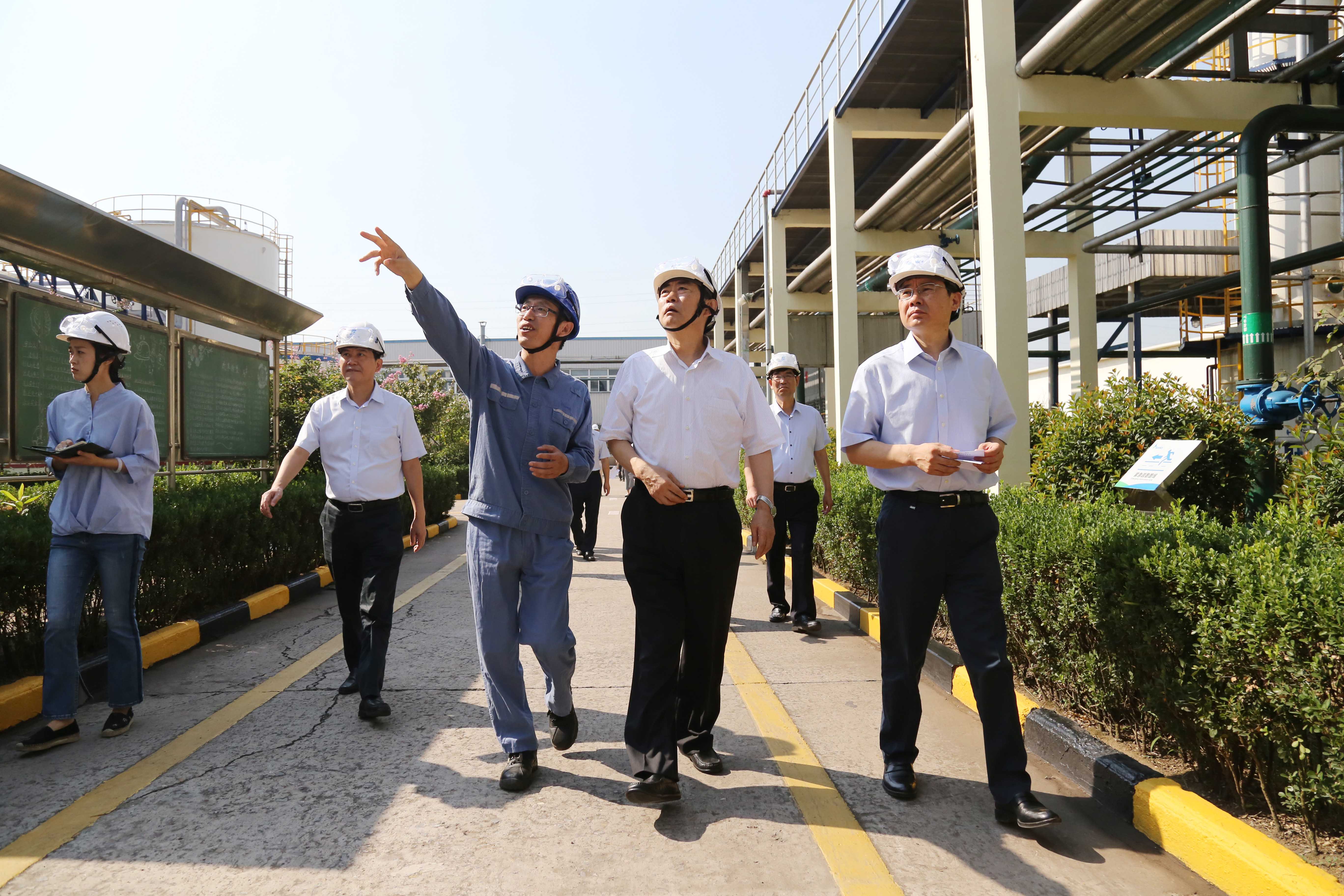 安徽省委常委、常务副省长邓向阳莅临安徽圣...