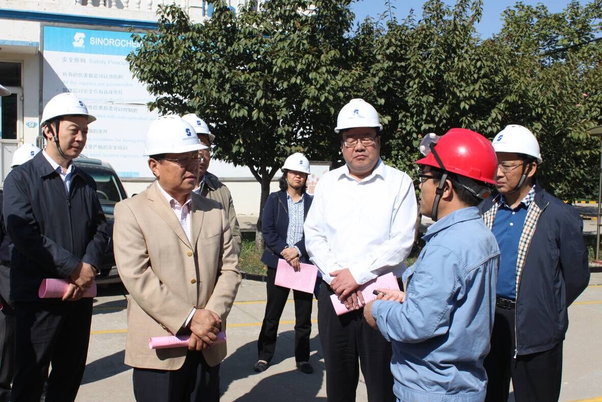 山东省安监局长李世瑛来泰安圣奥调研安全工...
