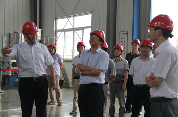 铜陵市委副书记、代市长倪玉平莅临安徽圣奥...