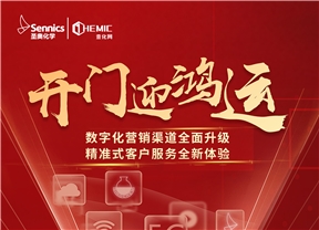 加速线上布局，全力实施数字化转型—— 圣奥...