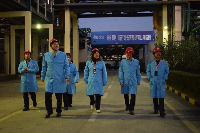 中国橡胶工业协会会长徐文英一行调研安徽圣...