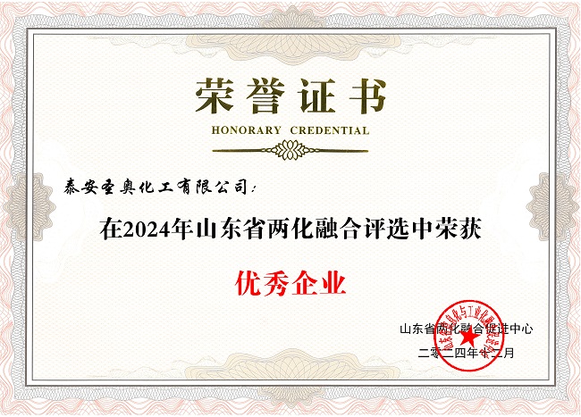 泰安圣奥荣获“山东省两化融合优秀企业”称...